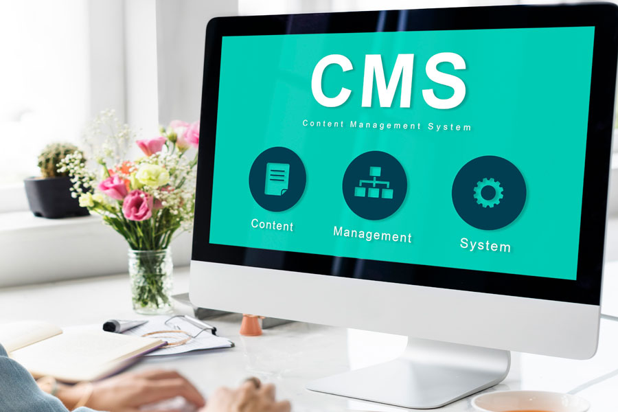 Senior CMS Developer
