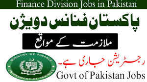 Assistant Manager (IT)